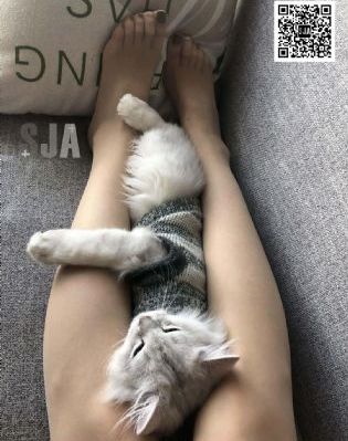 情欲之网上2集