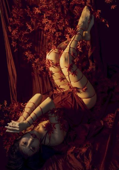 女人花免费观看全集